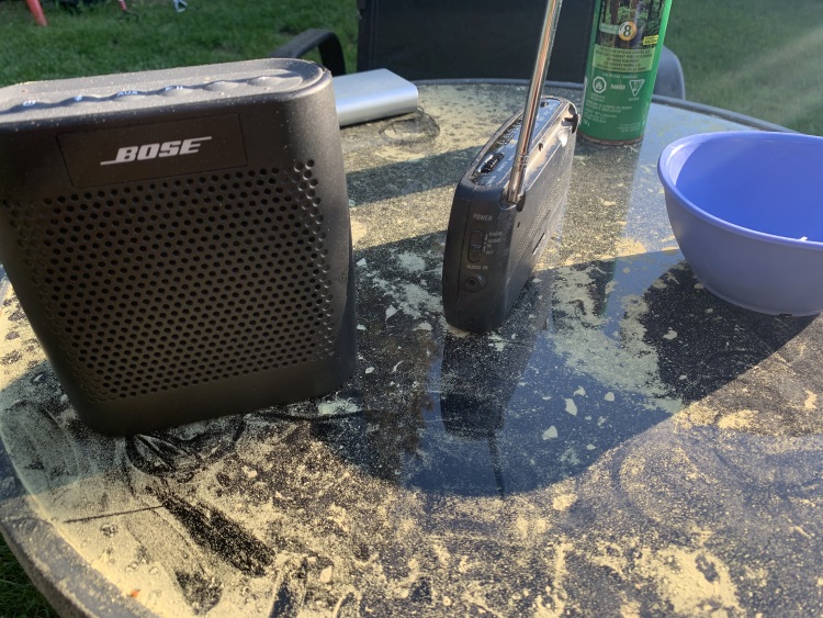 A gold dust spring is in the air Local news